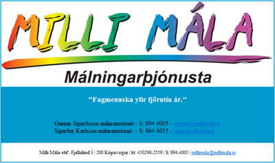 Málningarþjónusta Milli Mála ehf